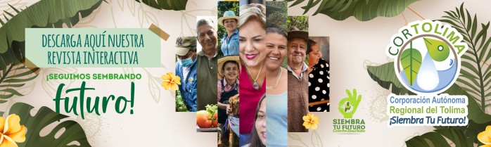 Publicidad El Insolente Ibague, Colombia