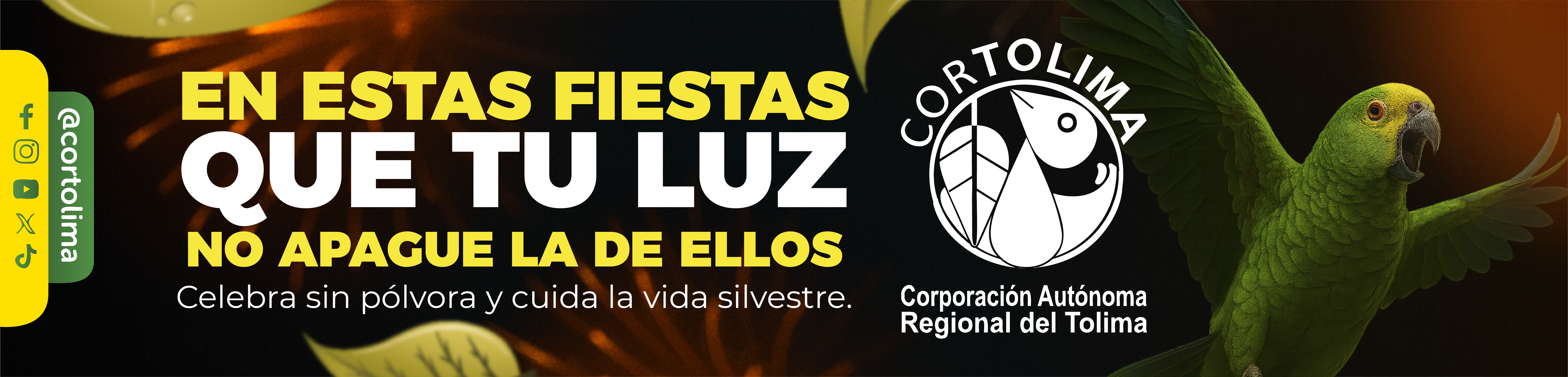 Publicidad El Insolente Ibague, Colombia