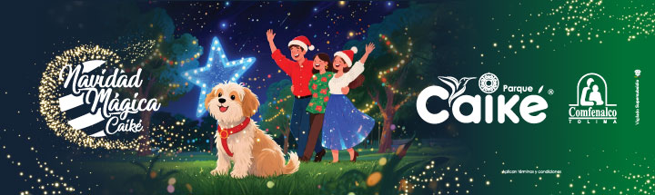 Publicidad El Insolente Ibague, Colombia