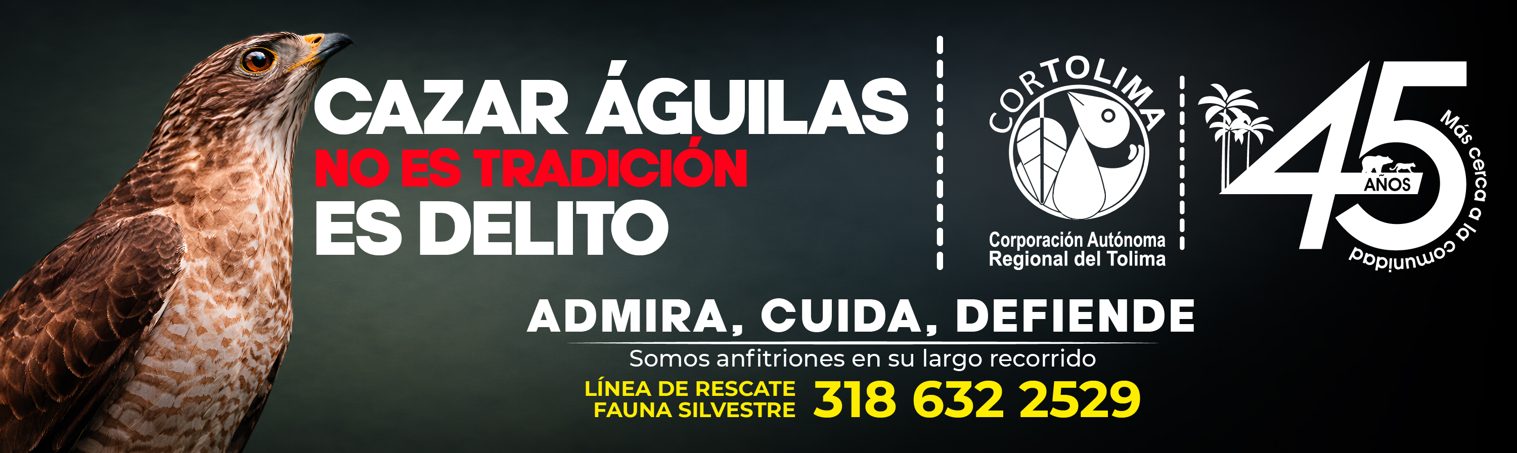 Publicidad El Insolente Ibague, Colombia