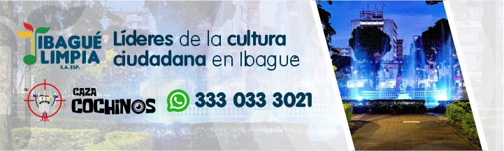 Publicidad El Insolente Ibague, Colombia