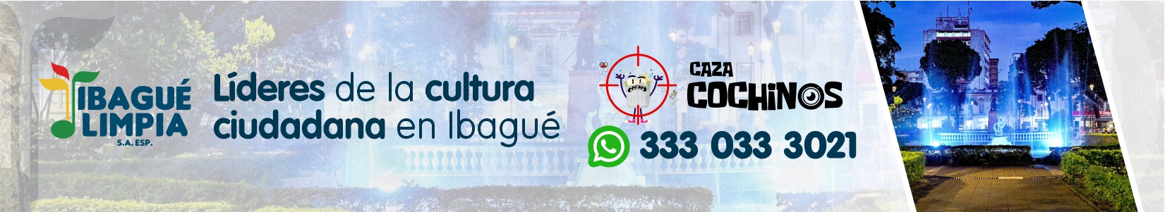 Publicidad El Insolente Ibague, Colombia