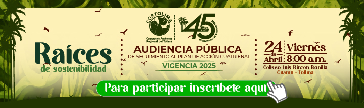 Publicidad El Insolente Ibague, Colombia