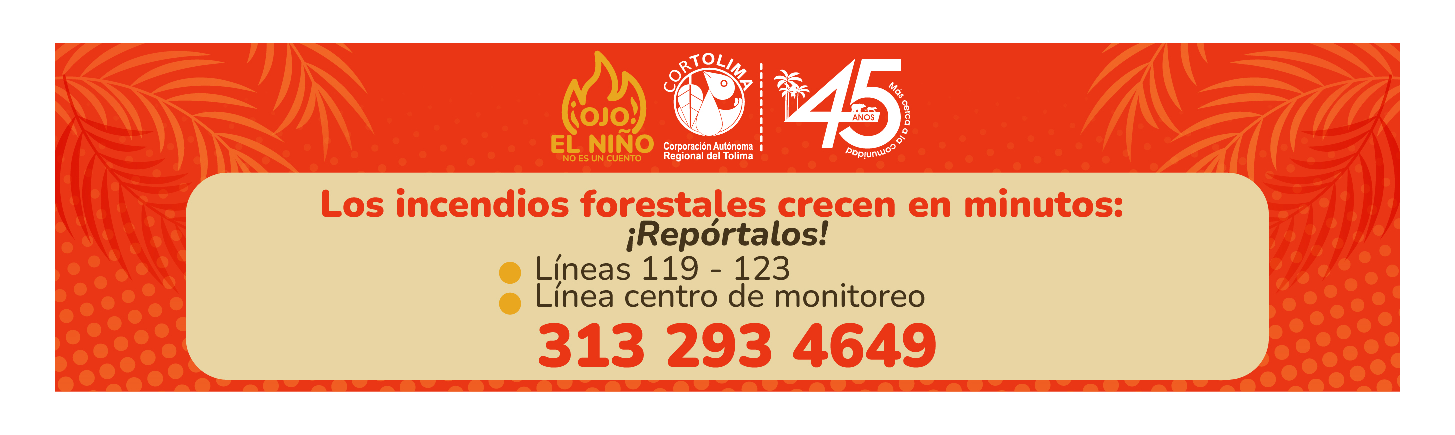 Publicidad El Insolente Ibague, Colombia